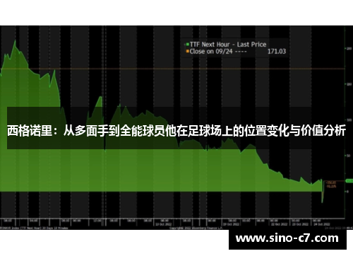 西格诺里：从多面手到全能球员他在足球场上的位置变化与价值分析