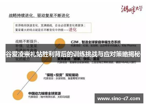 谷爱凌崇礼站胜利背后的训练挑战与应对策略揭秘