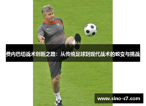 费内巴切战术创新之路：从传统足球到现代战术的蜕变与挑战