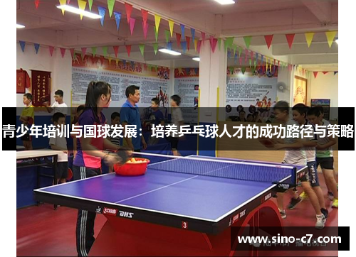 青少年培训与国球发展：培养乒乓球人才的成功路径与策略