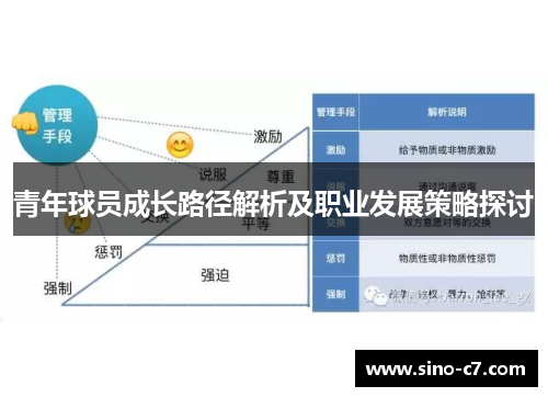青年球员成长路径解析及职业发展策略探讨