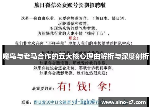魔鸟与老马合作的五大核心理由解析与深度剖析