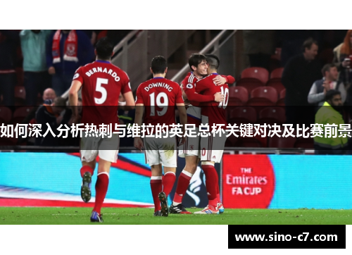 如何深入分析热刺与维拉的英足总杯关键对决及比赛前景
