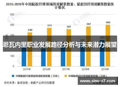 恩瓦内里职业发展路径分析与未来潜力展望