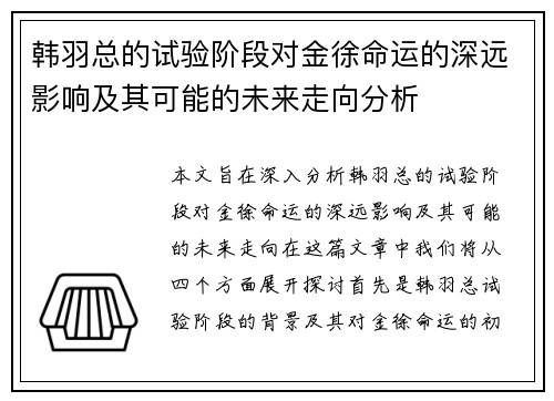 韩羽总的试验阶段对金徐命运的深远影响及其可能的未来走向分析