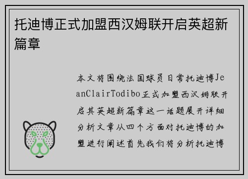 托迪博正式加盟西汉姆联开启英超新篇章